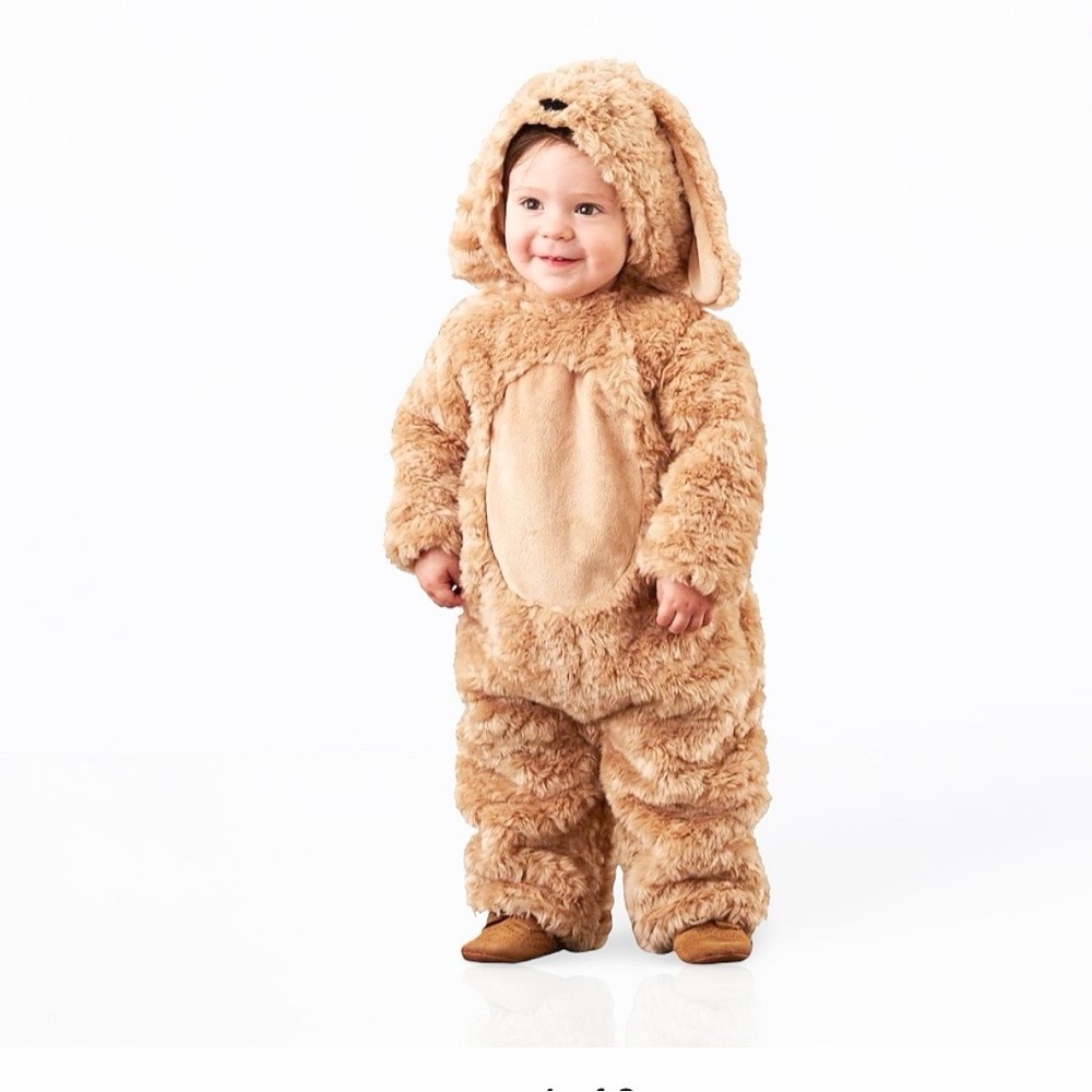 Pottery Barn kids Labradoodle dog costume